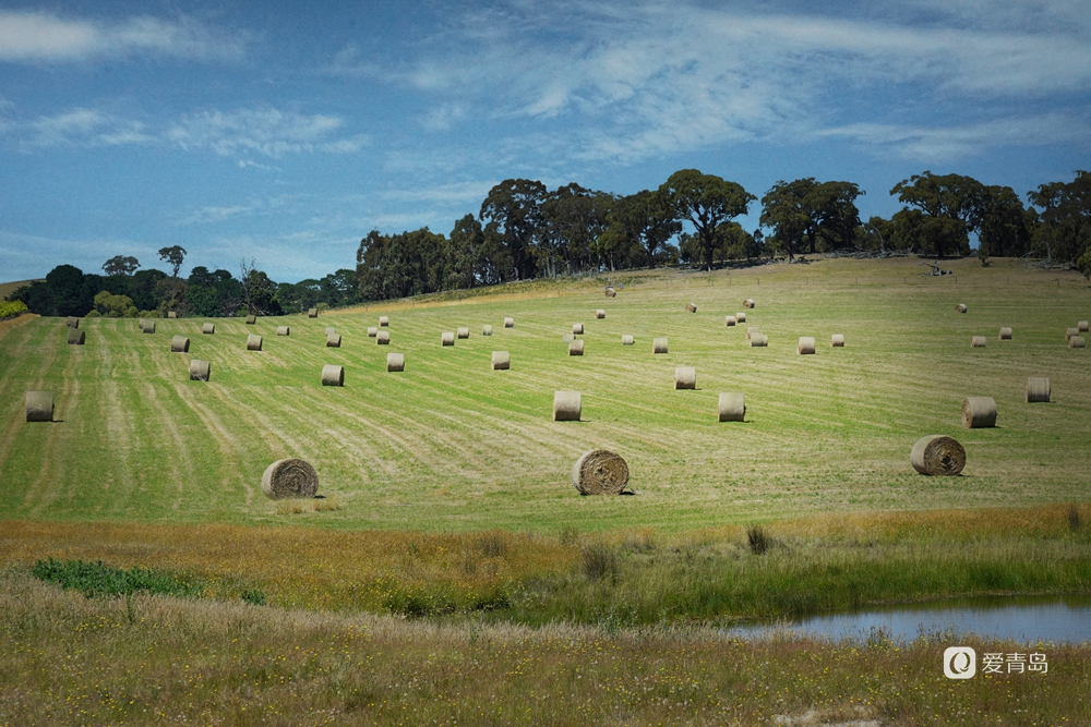 行走中的风景:漫步澳大利亚 去南半球体验另一种风景