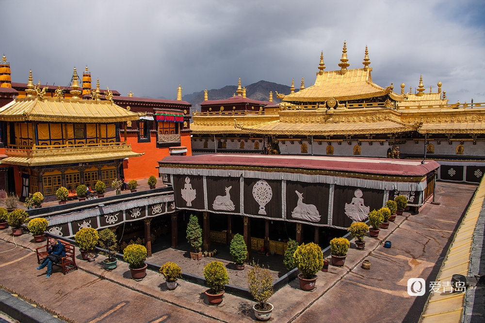 行走中的风景:在世界屋脊 邂逅被桃花唤醒的春天
