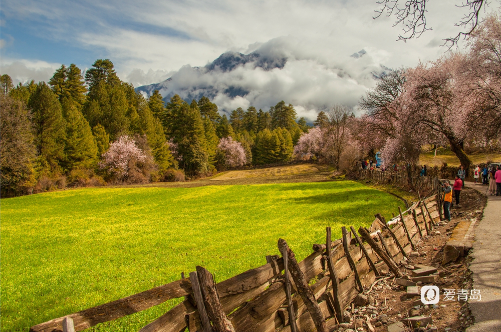 行走中的风景:在世界屋脊 邂逅被桃花唤醒的春天