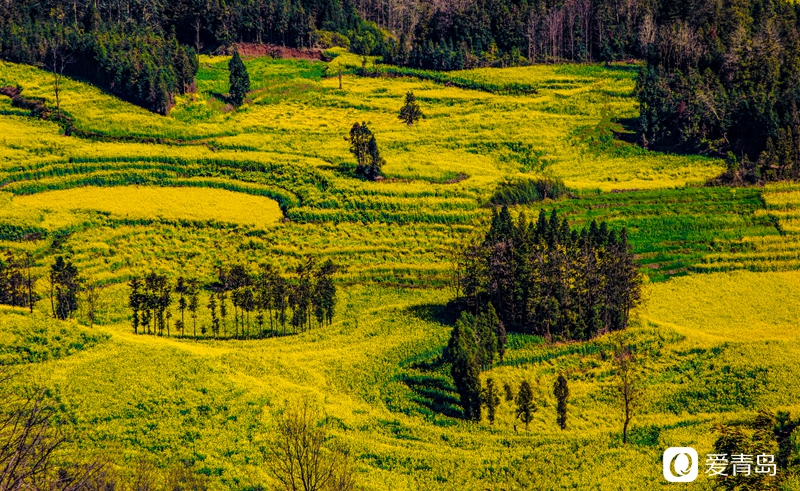 行走中的风景:在元阳梯田中踱步 寻找春天的气息