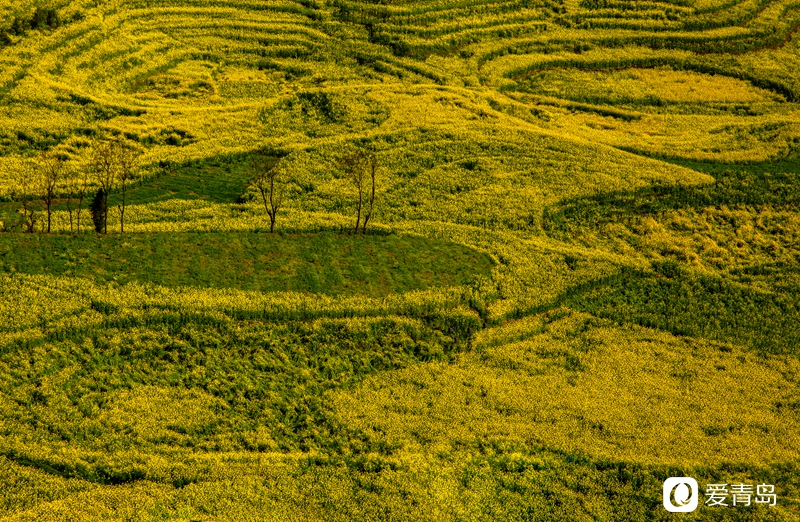 行走中的风景:在元阳梯田中踱步 寻找春天的气息