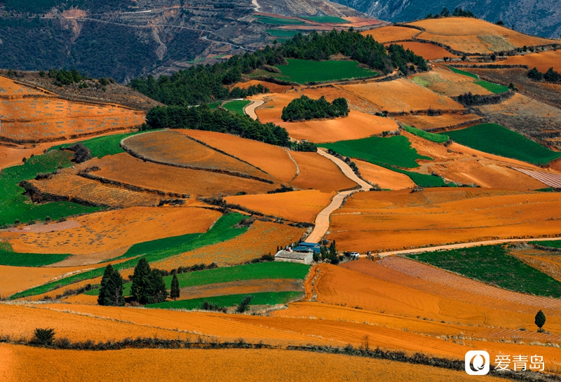 行走中的风景：在元阳梯田中踱步 寻找春天的气息