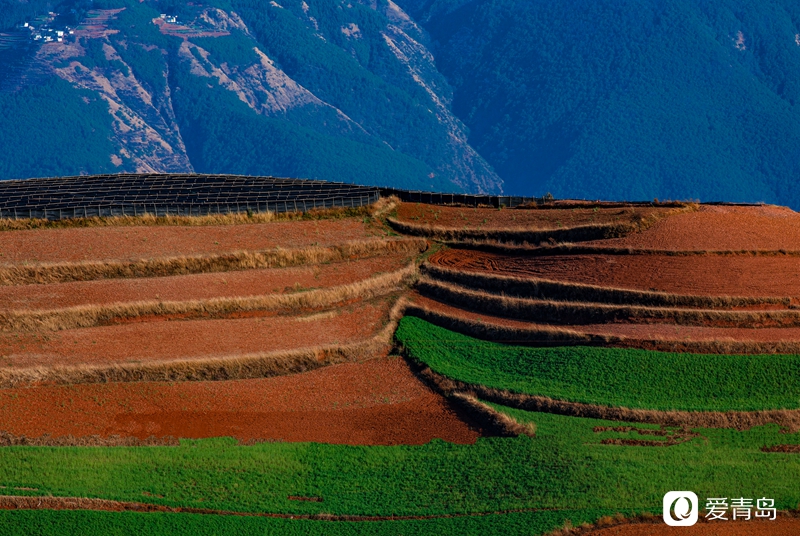 行走中的风景:在元阳梯田中踱步 寻找春天的气息