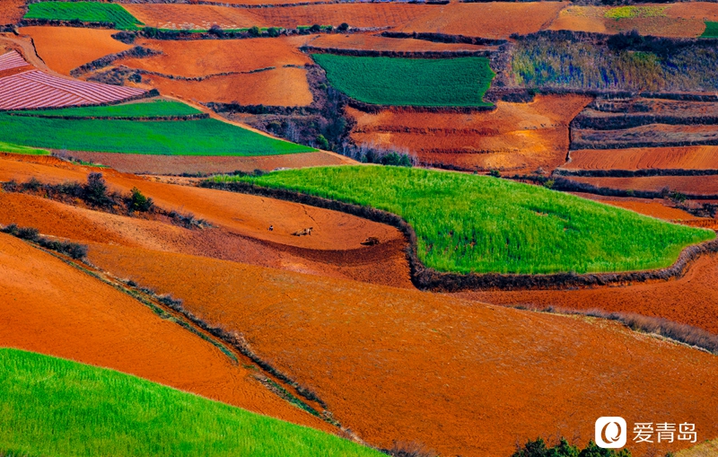 行走中的风景:在元阳梯田中踱步 寻找春天的气息