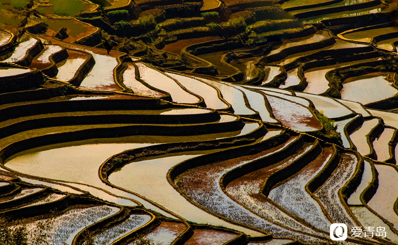 行走中的风景:在元阳梯田中踱步 寻找春天的气息