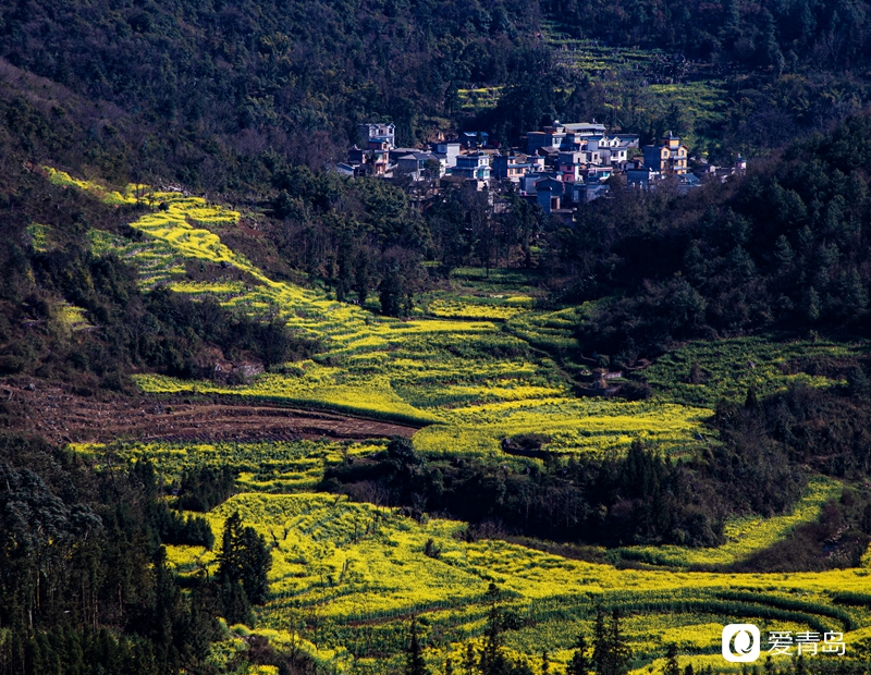 行走中的风景:在元阳梯田中踱步 寻找春天的气息