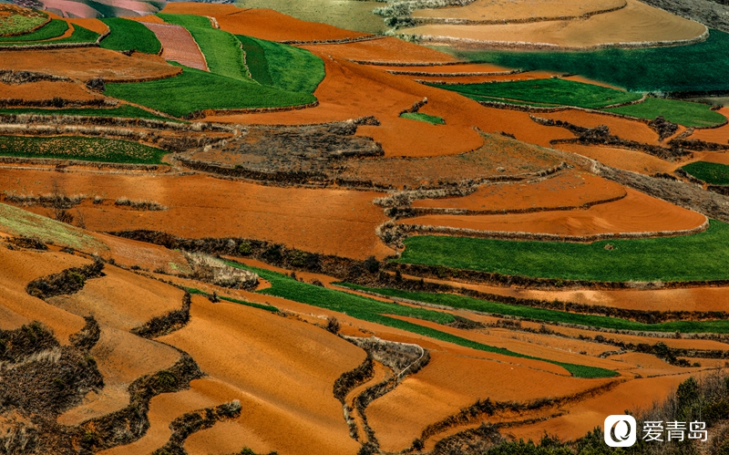 行走中的风景:在元阳梯田中踱步 寻找春天的气息