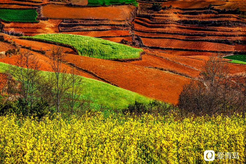 行走中的风景:在元阳梯田中踱步 寻找春天的气息