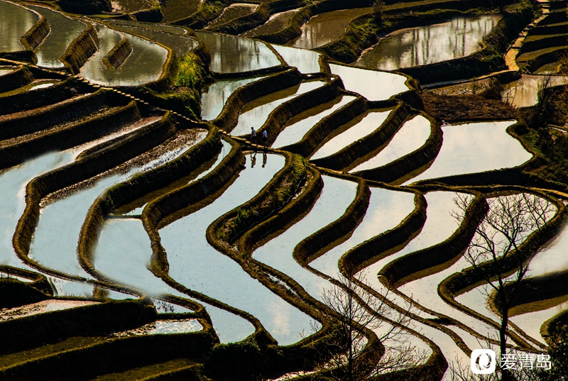 行走中的风景:在元阳梯田中踱步 寻找春天的气息