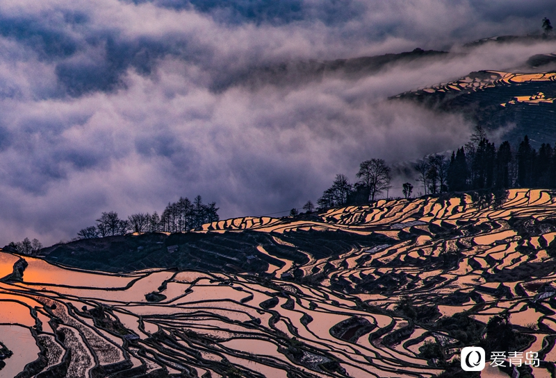 行走中的风景:在元阳梯田中踱步 寻找春天的气息