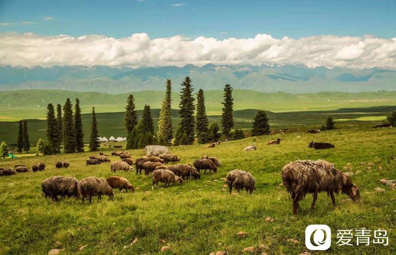 行走中的风景：漫步那拉提草原 邂逅最美晨光！