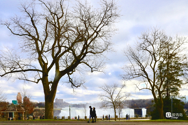 行走中的风景：穿行魅力加拿大 饱览多伦多自然风光