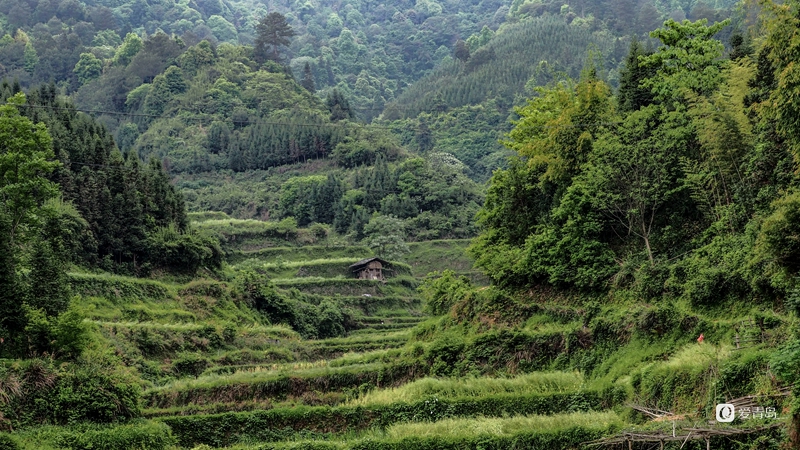 行走中的风景:现实版的“世外桃源” 藏在大山深处的福地洞天