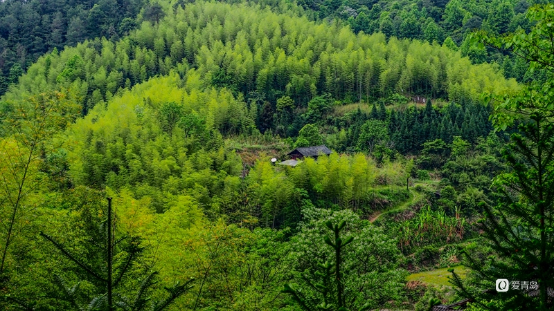 行走中的风景:现实版的“世外桃源” 藏在大山深处的福地洞天