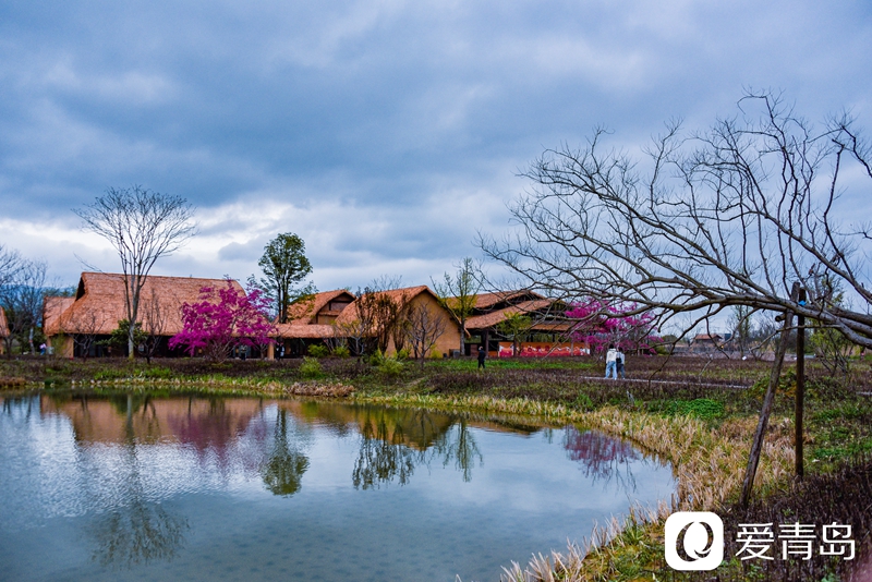 行走中的风景:烟花三月游苏杭 山花烂漫飘幽香