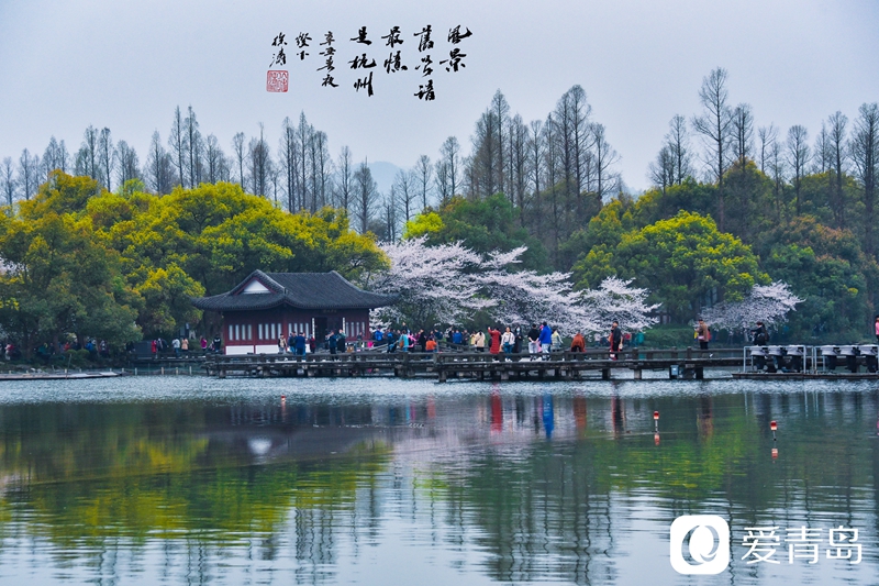 行走中的风景:烟花三月游苏杭 山花烂漫飘幽香