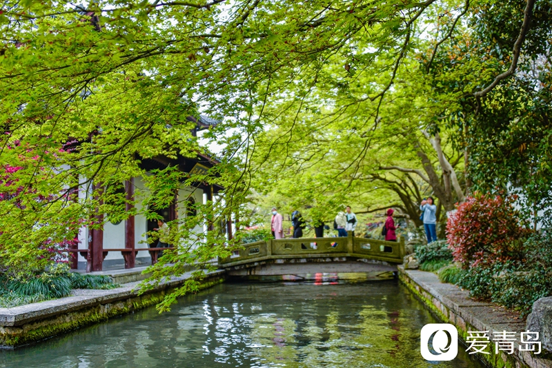 行走中的风景:烟花三月游苏杭 山花烂漫飘幽香