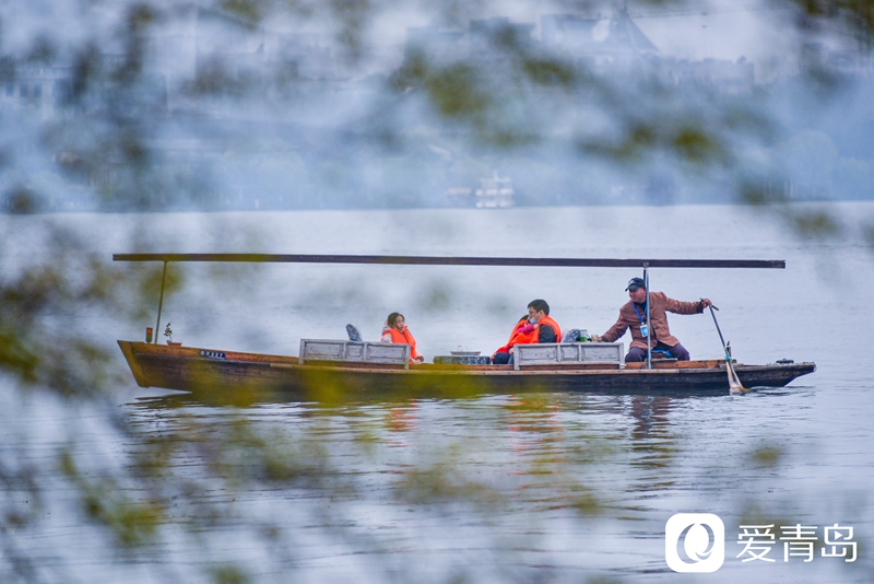 行走中的风景:烟花三月游苏杭 山花烂漫飘幽香