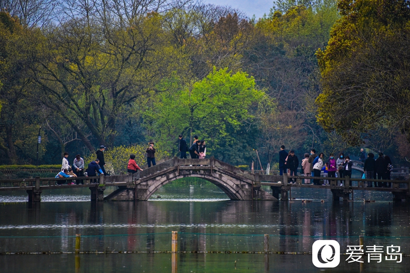 行走中的风景:烟花三月游苏杭 山花烂漫飘幽香