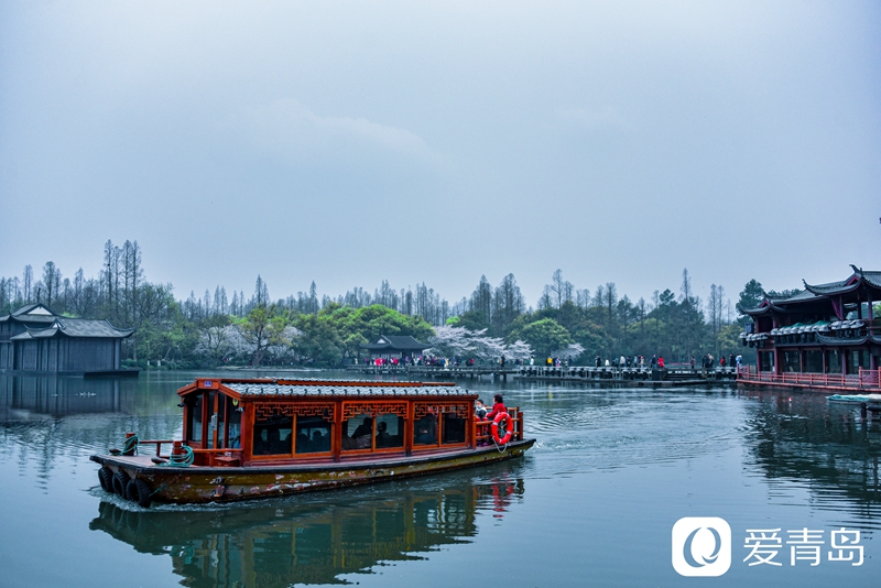 行走中的风景:烟花三月游苏杭 山花烂漫飘幽香