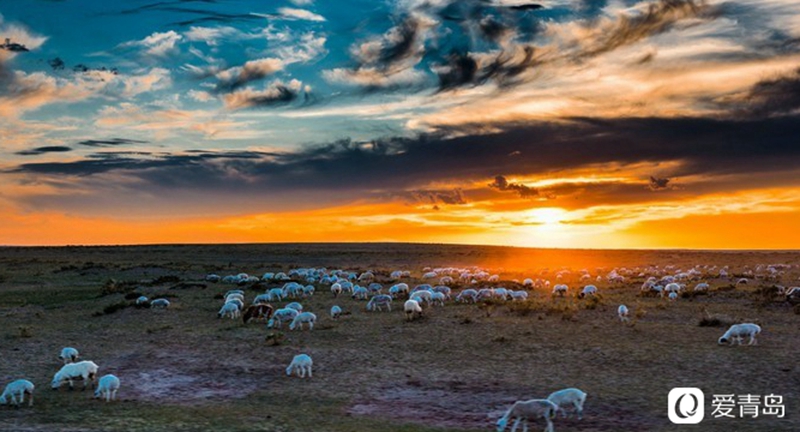 行走中的风景:沉醉在锡盟的绚丽红霞中