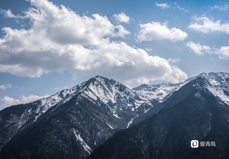 行走中的风景：扛着相机入西藏 闯进雪山和桃花的世界