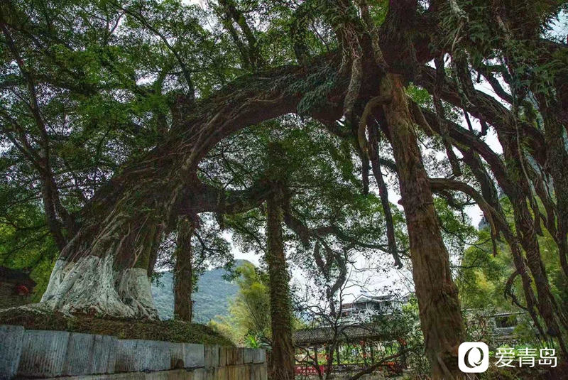 行走中的风景：打开广西崇左的山水画卷