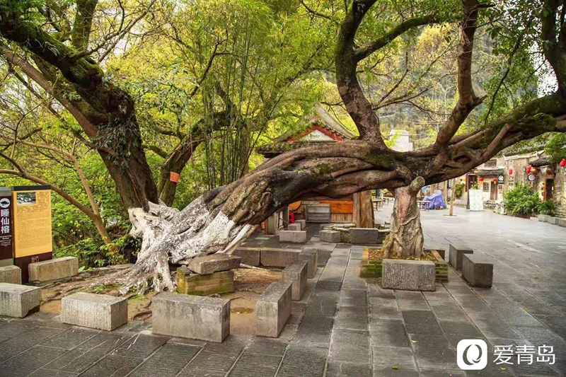 行走中的风景:打开广西崇左的山水画卷