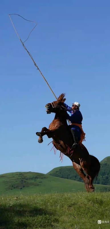 行走中的风景:绝美乌兰布统 藏着中国最美的夏天