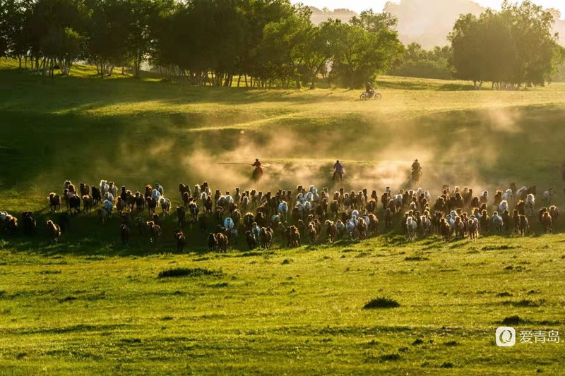 行走中的风景:绝美乌兰布统 藏着中国最美的夏天
