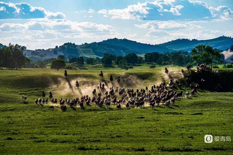 行走中的风景:绝美乌兰布统 藏着中国最美的夏天