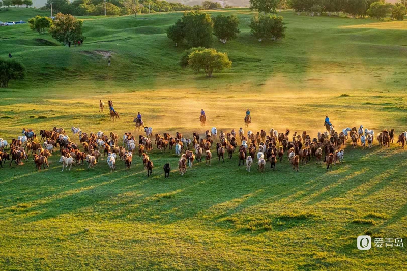 行走中的风景:绝美乌兰布统 藏着中国最美的夏天