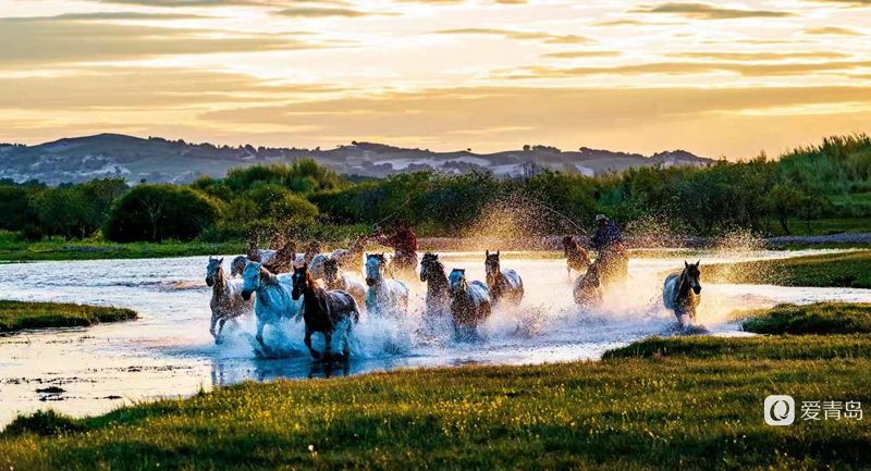 行走中的风景:绝美乌兰布统 藏着中国最美的夏天