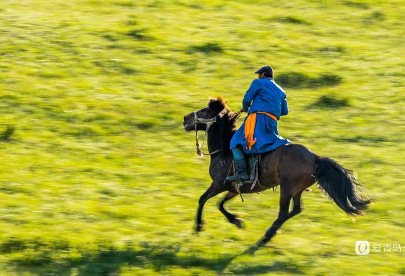 行走中的风景:绝美乌兰布统 藏着中国最美的夏天