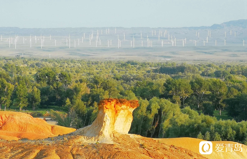 行走中的风景:绝美绚丽五彩滩柔情与苍劲的完美融合