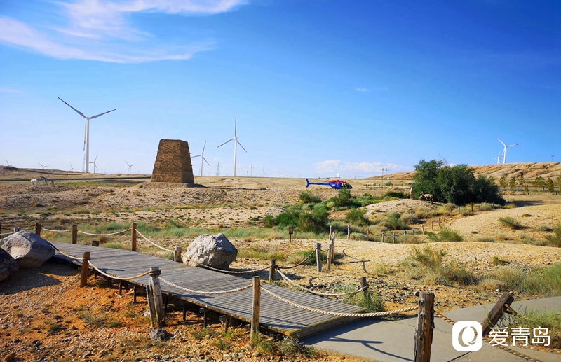 行走中的风景:绝美绚丽五彩滩柔情与苍劲的完美融合