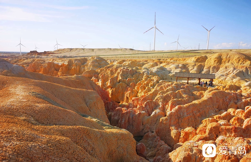 行走中的风景:绝美绚丽五彩滩柔情与苍劲的完美融合