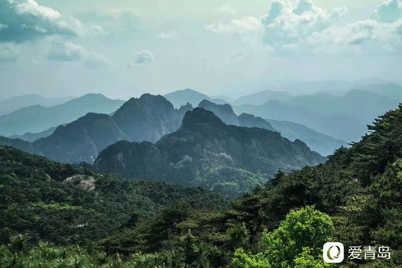 行走中的风景:奇松、怪石、云海……登黄山览绝美风光!