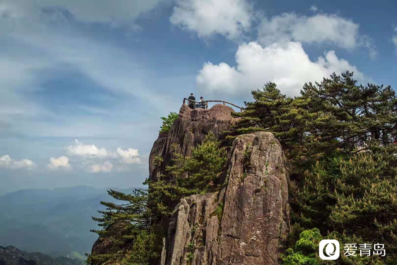 行走中的风景:奇松、怪石、云海……登黄山览绝美风光!