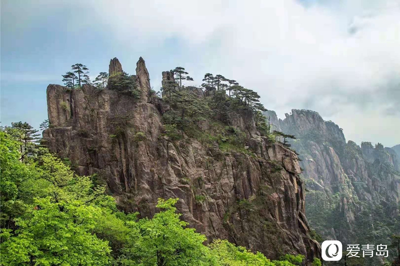 行走中的风景:奇松、怪石、云海……登黄山览绝美风光!