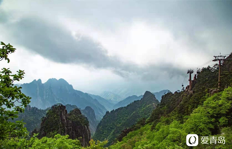 行走中的风景:奇松、怪石、云海……登黄山览绝美风光!