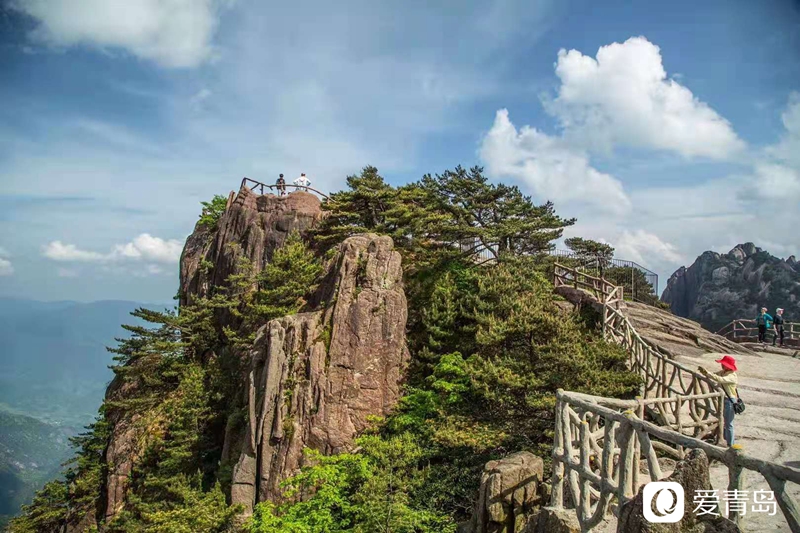 行走中的风景:奇松、怪石、云海……登黄山览绝美风光!