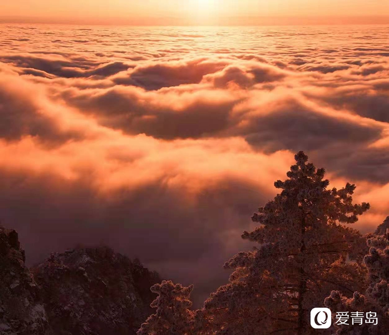 行走中的风景:奇松、怪石、云海……登黄山览绝美风光!