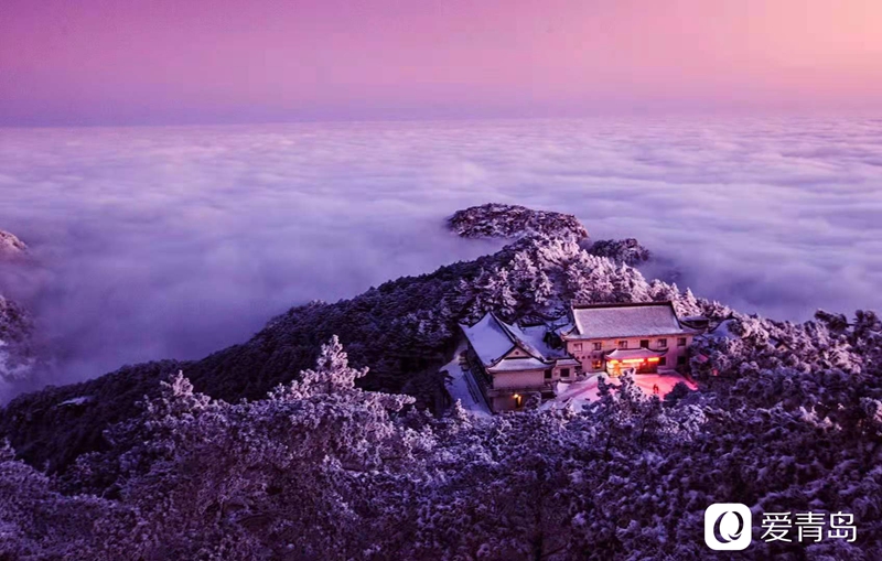 行走中的风景:奇松、怪石、云海……登黄山览绝美风光!