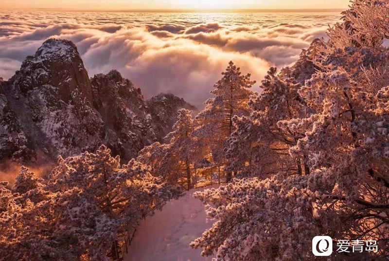 行走中的风景:奇松、怪石、云海……登黄山览绝美风光!