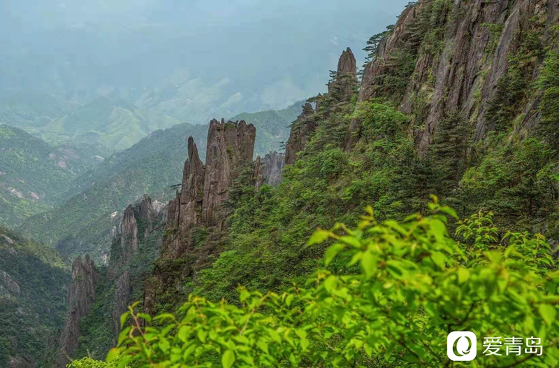 行走中的风景:奇松、怪石、云海……登黄山览绝美风光!