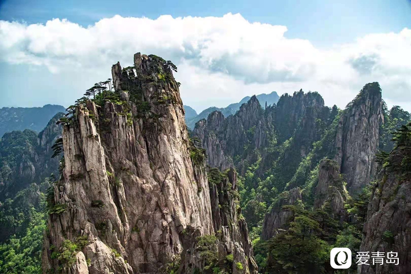 行走中的风景:奇松、怪石、云海……登黄山览绝美风光!