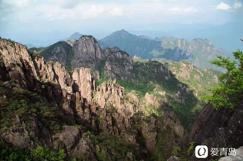 行走中的风景:奇松、怪石、云海……登黄山览绝美风光!
