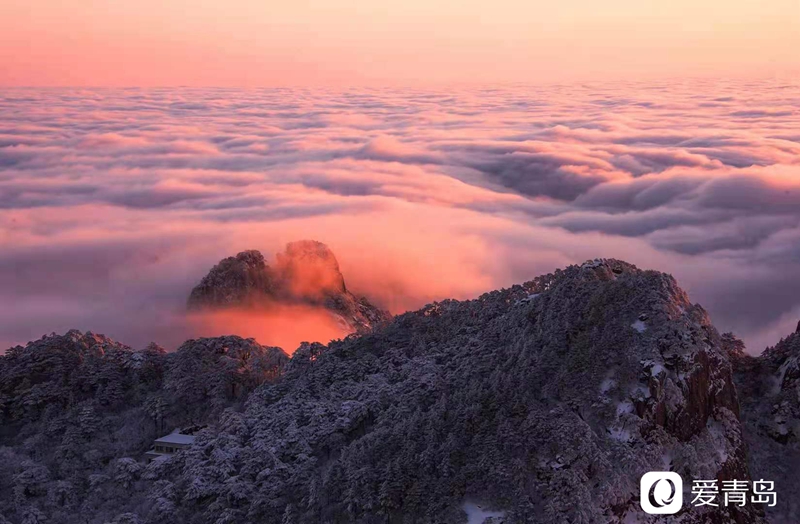 行走中的风景:奇松、怪石、云海……登黄山览绝美风光!