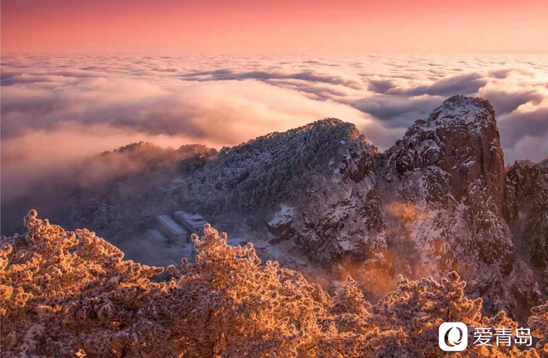 行走中的风景:奇松、怪石、云海……登黄山览绝美风光!